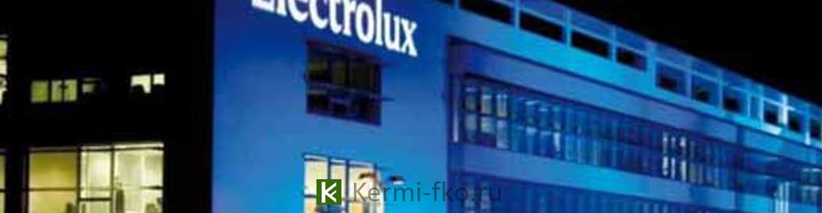 купить котлы отопления Electrolux в Москве цена