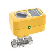 Кран с электроприводом Neptun PROFI 220В 100035693400 Нептун