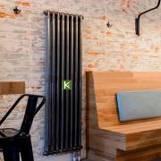 Радиатор отопления Arbonia 2180/01 N69 твв TF (радиаторы Арбония)