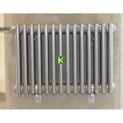 Радиатор отопления Arbonia 3050/01 3/4" TF (радиаторы Арбония)
