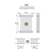 Радиатор Arbonia 3057/38 секций №12 (Арбония)
