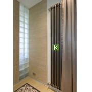 Радиатор отопления Arbonia 3180/01 1/2" TF (радиаторы Арбония)