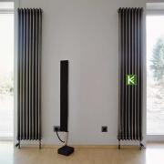 Радиатор отопления Arbonia 3180/01 N69 твв TF (радиаторы Арбония)