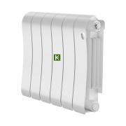 Радиатор Royal Thermo Infinity 300 Bianco Traffico 6 секций (Роял Термо)