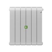 Радиатор Royal Thermo Infinity 300 Bianco Traffico 6 секций (Роял Термо)