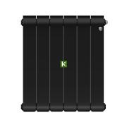 Радиатор Royal Thermo Infinity 300 Noir Sable 6 секций (Роял Термо)