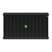 Радиатор Royal Thermo Infinity VR 300 Noir Sable 12 секций (Роял Термо)