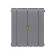 Радиатор Royal Thermo Infinity VR 300 Silver Satin 6 секций (Роял Термо)